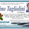 Gino Tagliolini