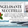 Angelosante Nuccitelli