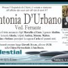 Antonia D'Urbano