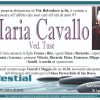 Maria Cavallo
